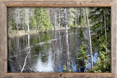Villi Lappi Peukalonniemi joki