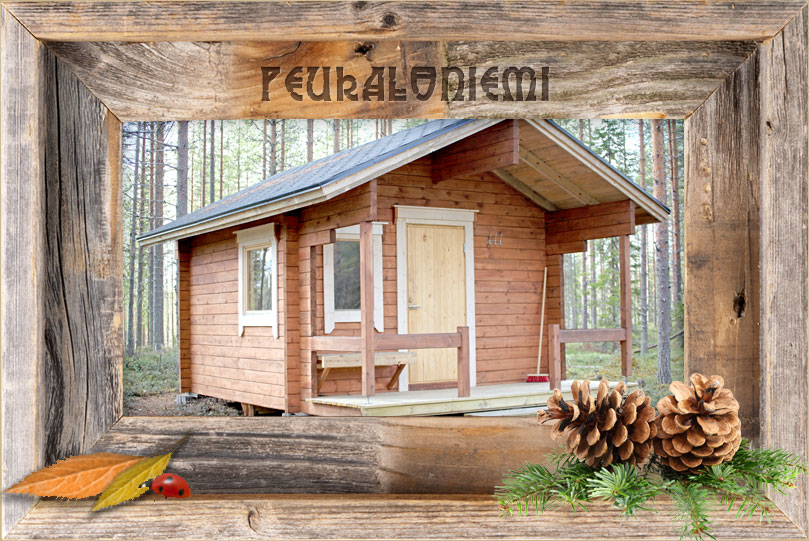 Villi Lappi Peukaloniemi mökki
